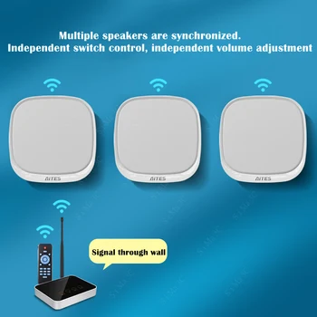 Duvara monte Hoparlör Ticari Kablo gerektirmeyen Asılı bluetooth hoparlör Mağazaya özel Ses USB Çoklu Senkron Yayın