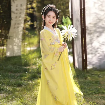 Cosplay Hanfu Antik Kostüm Peri Halk Dans Performansı Giyim Çin Geleneksel Kızlar Sarı Çiçek Nakış Elbise