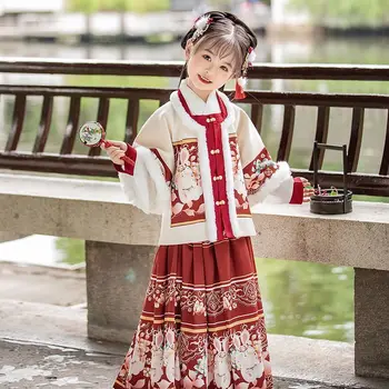 2 Renk Çin Hanfu Çocuk Kız Kış Kalınlaşmak Ming Hanedanı At Yüz Etek Geliştirilmiş Yeni Yıl Çin Etek Kostüm